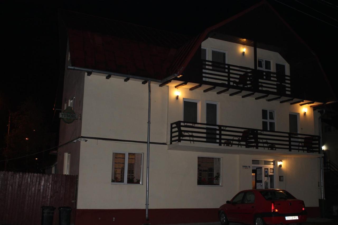 Vila Casa Ta Sinaia Dış mekan fotoğraf